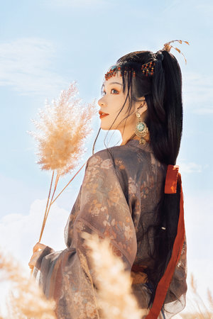 国语在线观看手机版