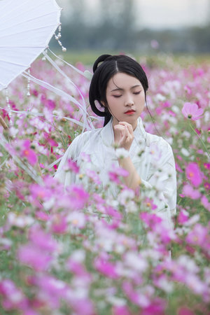 隔世情缘泰剧在线观看全集