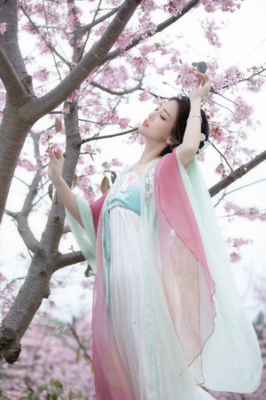 电视剧独生子全集