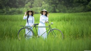 免费看一级a女人自慰青春网