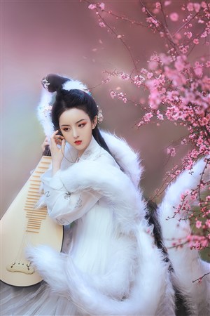 萤火虫第一季在线观看