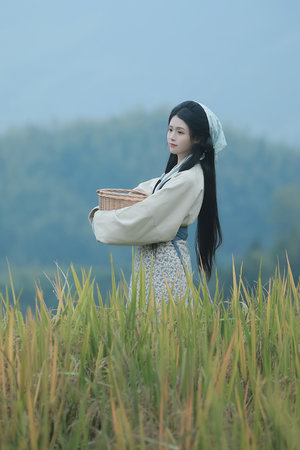 水仙芙蓉连体电视剧