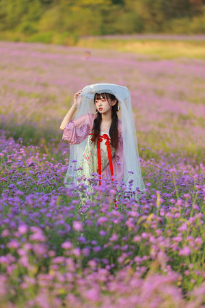 良心无悔35集全集免费观看