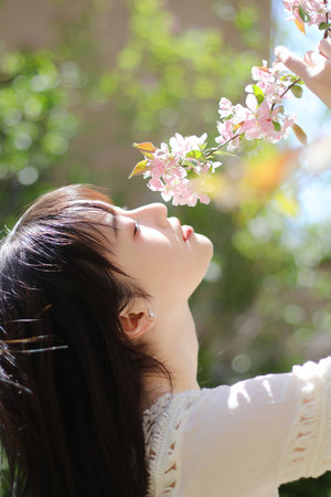 暖暖直播免费观看日本电影