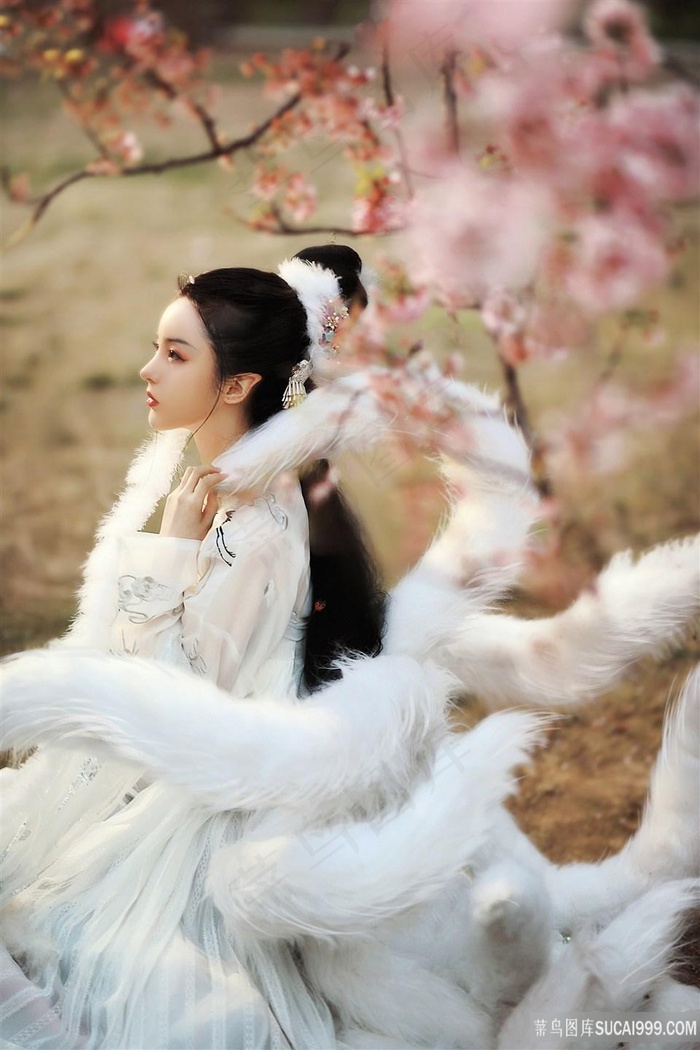 上帝也疯狂1电影免费观看完整版