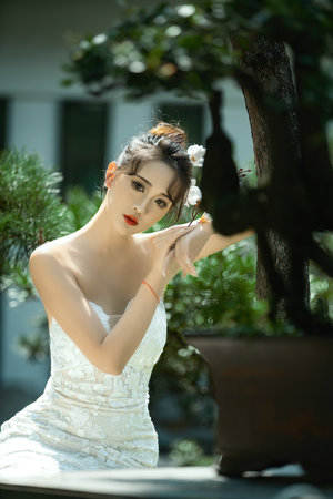 浙江卫视在线直播观看