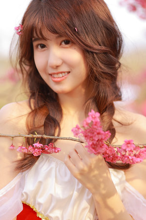 风声电影未删减