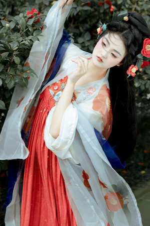 唐人街在线观看免费版高清电影