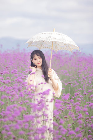 高考分数线2023年