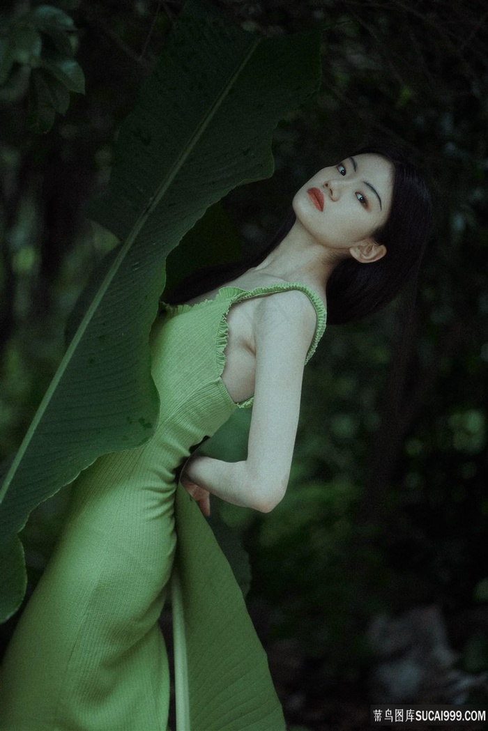 大象传媒免费网址