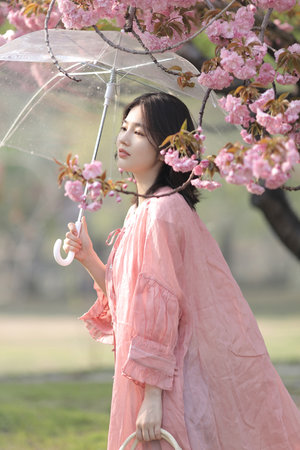 最后一个道士小说