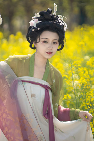 西瓜视频免费播放