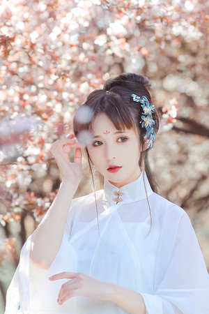 对学生会长的忠告动漫