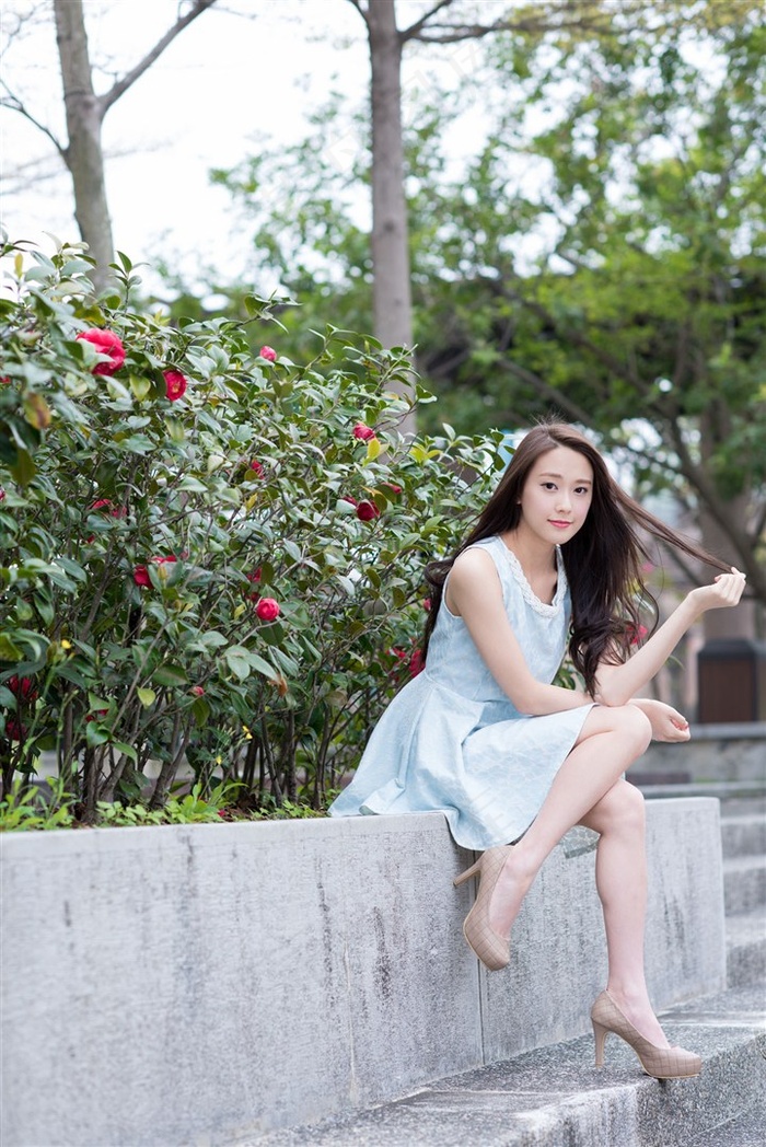 文字狗网站入口