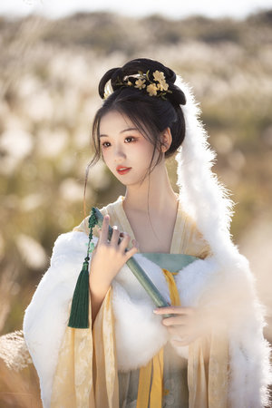 可以直接看gv的网站