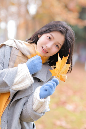 韩国电影合集在线